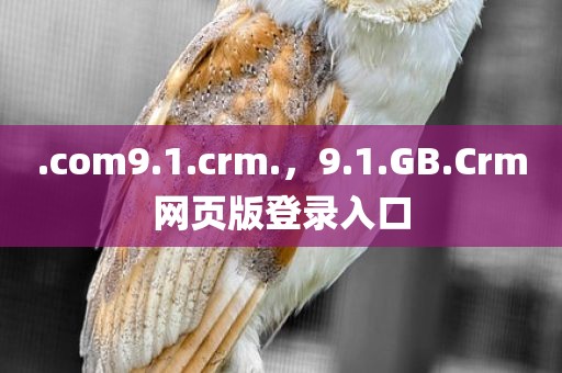 .com9.1.crm.，9.1.GB.Crm网页版登录入口
