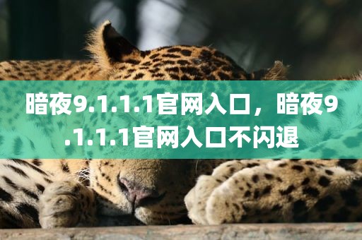 暗夜9.1.1.1官网入口，暗夜9.1.1.1官网入口不闪退