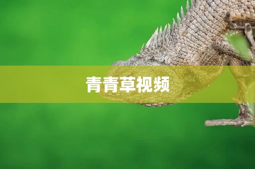 青青草视频