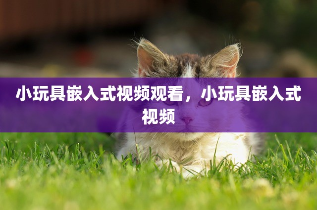 小玩具嵌入式视频观看，小玩具嵌入式视频
