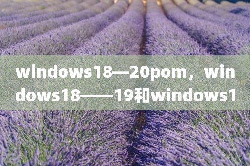 windows18—20pom，windows18――19和windows10