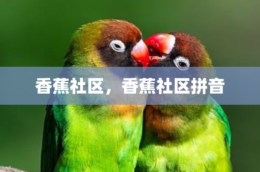 香蕉社区，香蕉社区拼音