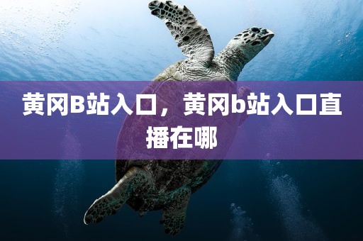 黄冈B站入口，黄冈b站入口直播在哪