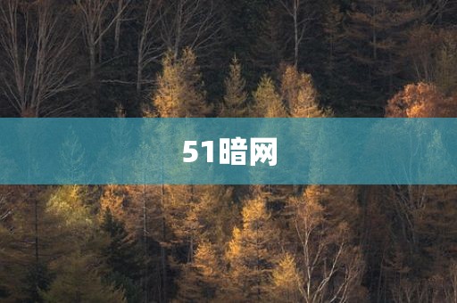 51暗网