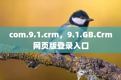 com.9.1.crm，9.1.GB.Crm网页版登录入口