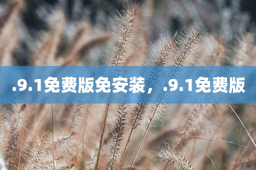 .9.1免费版免安装，.9.1免费版