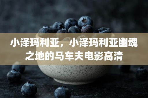小泽玛利亚，小泽玛利亚幽魂之地的马车夫电影高清
