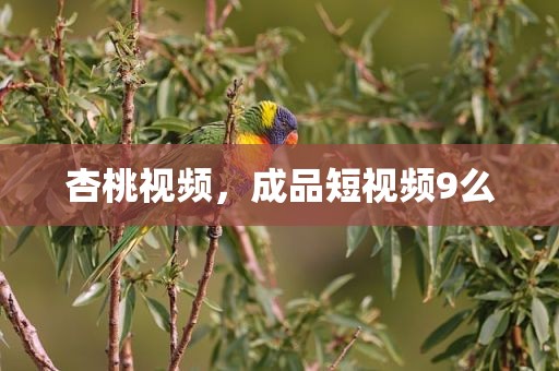 杏桃视频，成品短视频9么
