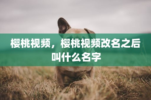 樱桃视频，樱桃视频改名之后叫什么名字