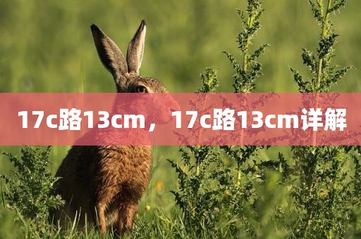 17c路13cm，17c路13cm详解