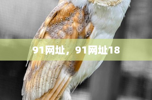 91网址，91网址18