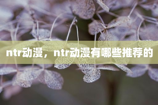 ntr动漫，ntr动漫有哪些推荐的
