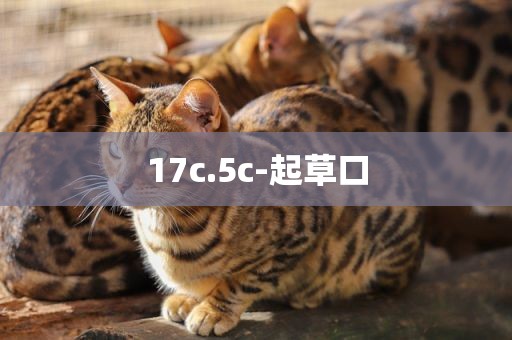 17c.5c-起草口