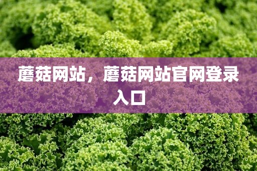 蘑菇网站，蘑菇网站官网登录入口