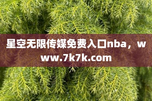 星空无限传媒免费入口nba，www.7k7k.com