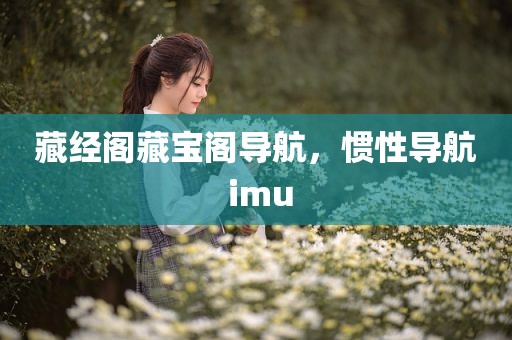 藏经阁藏宝阁导航，惯性导航 imu