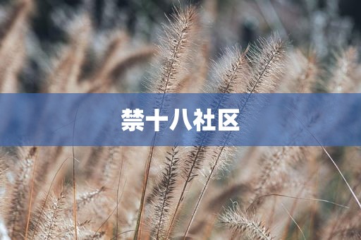 禁十八社区