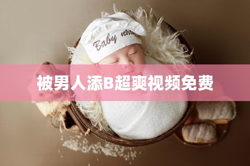 被男人添B超爽视频免费