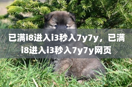 已满i8进入i3秒入7y7y，已满i8进入i3秒入7y7y网页