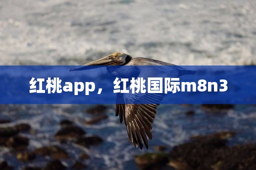 红桃app，红桃国际m8n3