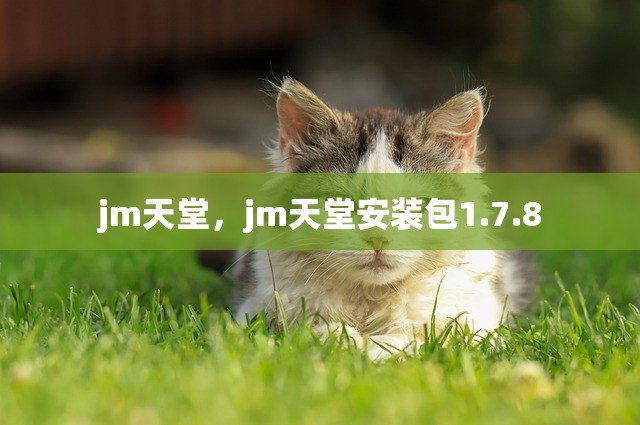 jm天堂，jm天堂安装包1.7.8