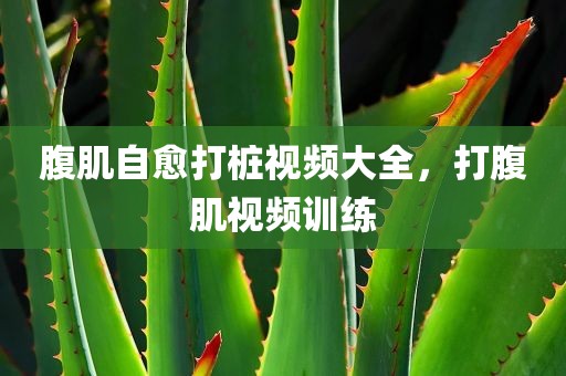 腹肌自愈打桩视频大全，打腹肌视频训练