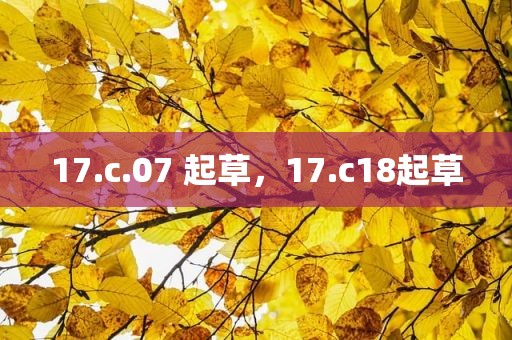17.c.07 起草，17.c18起草