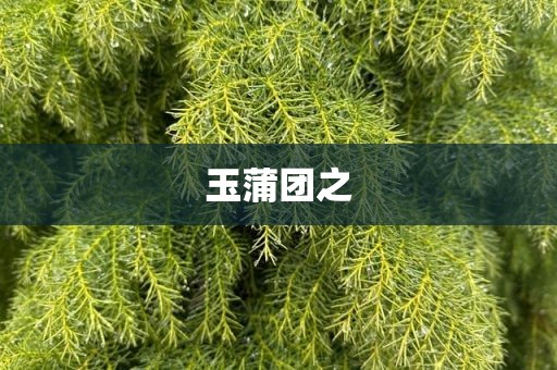 玉蒲团之