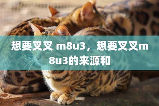 想要叉叉 m8u3，想要叉叉m8u3的来源和