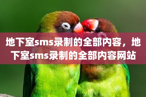 地下室sms录制的全部内容，地下室sms录制的全部内容网站