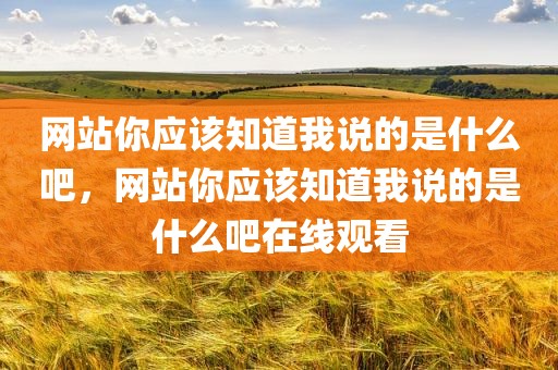 网站你应该知道我说的是什么吧，网站你应该知道我说的是什么吧在线观看