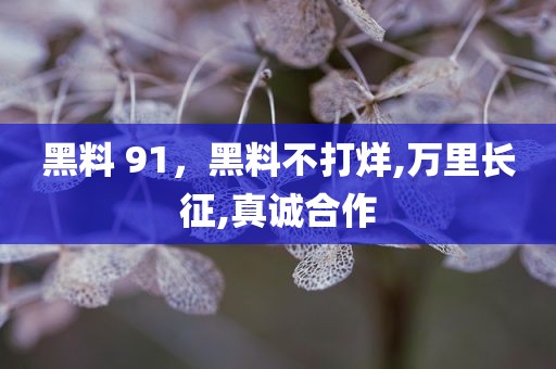 黑料 91，黑料不打烊,万里长征,真诚合作
