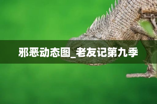 邪恶动态图_老友记第九季