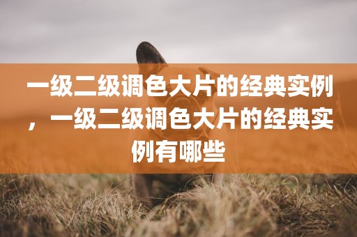 一级二级调色大片的经典实例，一级二级调色大片的经典实例有哪些