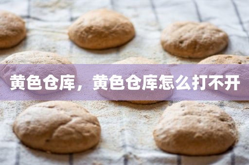 黄色仓库，黄色仓库怎么打不开