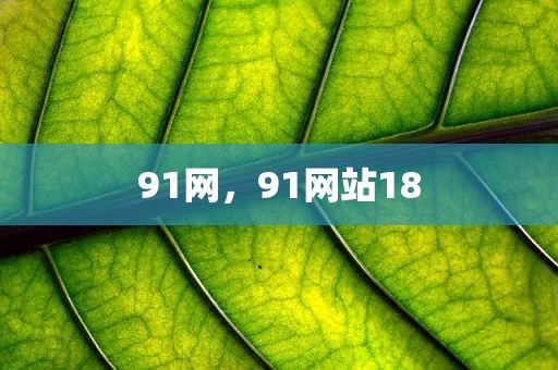 91网，91网站18