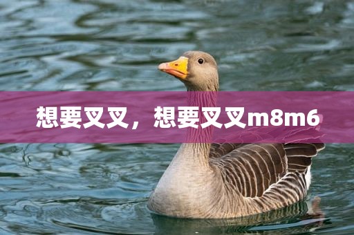 想要叉叉，想要叉叉m8m6