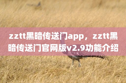 zztt黑暗传送门app，zztt黑暗传送门官网版v2.9功能介绍