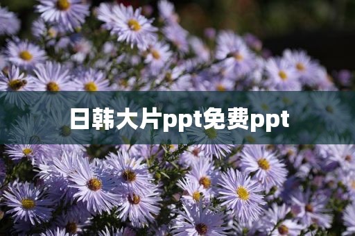 日韩大片ppt免费ppt