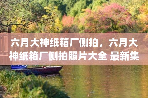 六月大神纸箱厂侧拍，六月大神纸箱厂侧拍照片大全 最新集