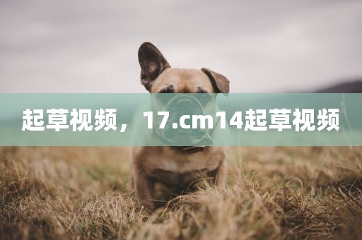 起草视频，17.cm14起草视频