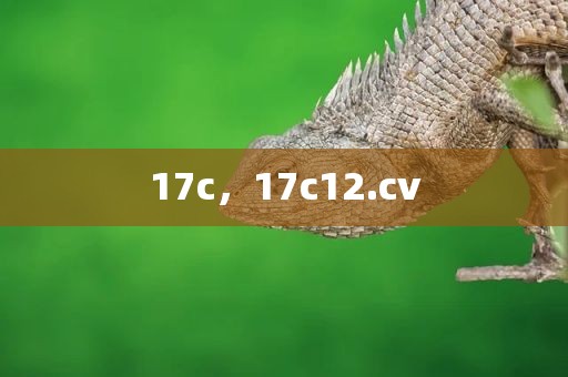 17c，17c12.cv
