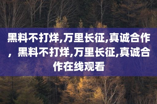 黑料不打烊,万里长征,真诚合作，黑料不打烊,万里长征,真诚合作在线观看