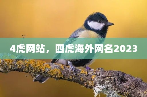 4虎网站，四虎海外网名2023
