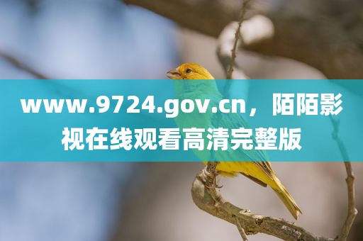 www.9724.gov.cn，陌陌影视在线观看高清完整版