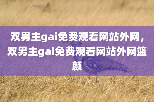 双男主gai免费观看网站外网，双男主gai免费观看网站外网篮颜