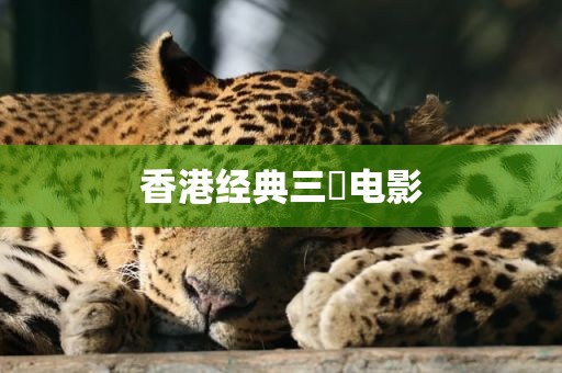 香港经典三㚫电影