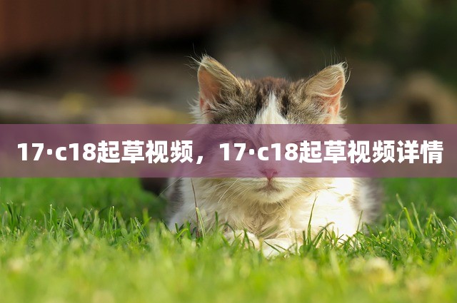 17·c18起草视频，17·c18起草视频详情