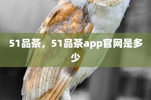 51品茶，51品茶app官网是多少