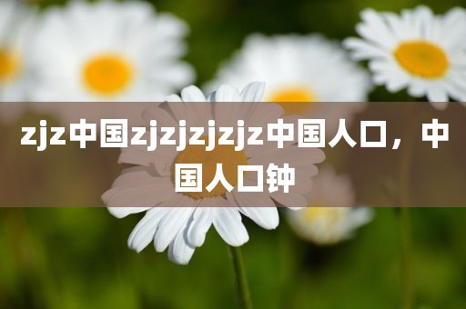 zjz中国zjzjzjzjz中国人口，中国人口钟